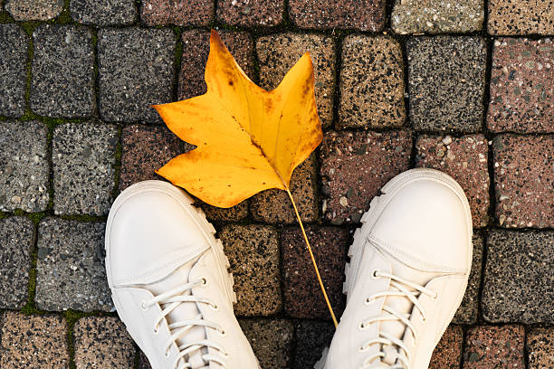 istock White Shoes and Yellow Leaf on Pavement 2250564580