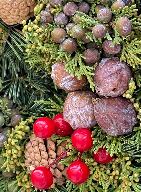 istock Christmas decor with berries and nuts 2250573496
