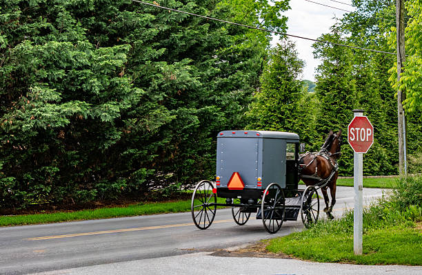 istock Horse-drawn Buggy Travels Down a Quiet Country Road Surrounded by Greenery 2250575562