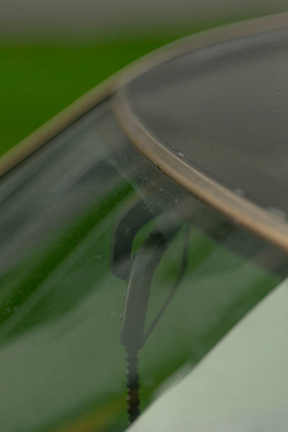 istock Bright morning glow softly accentuates smooth contours around glass 2250578986