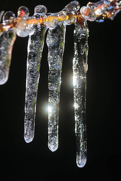 Stock photo showing winter scene with close-up view of bare tree branch and twigs covered in ice with hanging icicles.