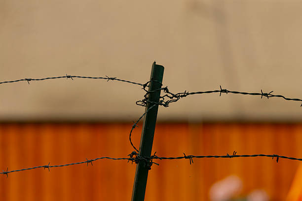 Rusty barbed wire closeup image, Texture of twisted rusted wire on rural perimeter barrier, Detailed shot capturing textured rusty wire intertwined with corrugated fencing in rustic setting