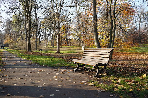 istock Stromovka park during autumn season in Prague 2250583842