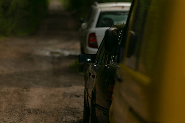 An array of vehicles halted along muddy country lane shaded by leafy branches