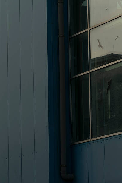 istock Vertical pipe and glass pane create layered urban visual scene 2250588098