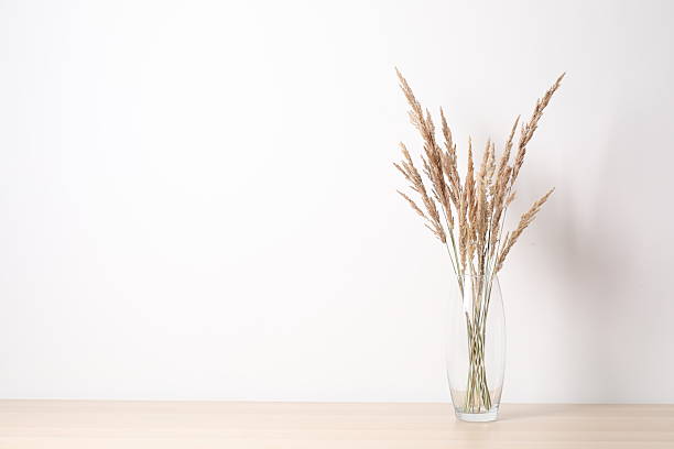istock Dried flowers in a vase 2250588885