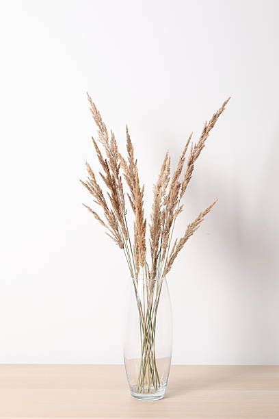 istock Dried flowers in a vase 2250588908