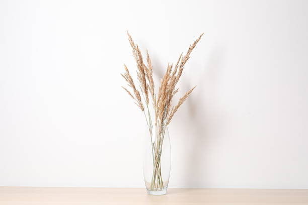 istock Dried flowers in a vase 2250588910