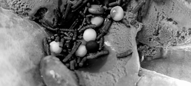 photograph of ice cream with sprinkles