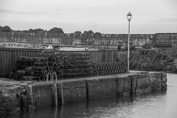 istock Dunbar Harbour, East Lothian, Scotland 2250595955