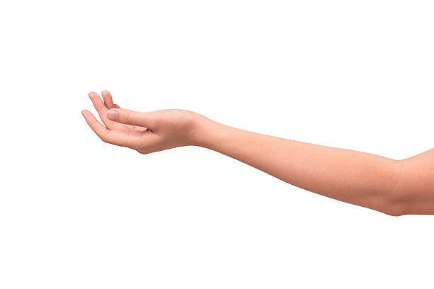 istock Close-up of a beautiful empty hand gesture isolated on a white background. High quality studio shot. 2250600751
