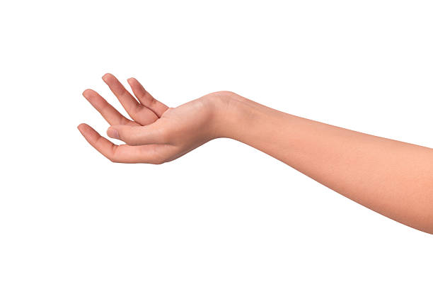 istock Close-up of a beautiful empty hand gesture isolated on a white background. High quality studio shot. 2250600788