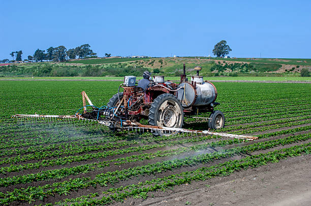Farmer riding a tractor, spraying crops with pesticides.