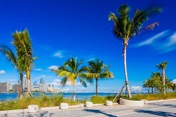 istock Stock image Key Biscayne Bridge Beach Miami 2025. Long exposure palms swaying in the wind 2250605312