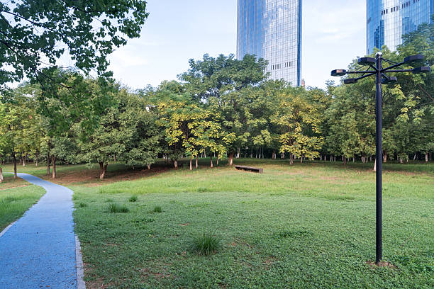 city park with modern building background in shanghai