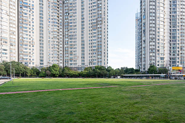 city park with modern building background in shanghai