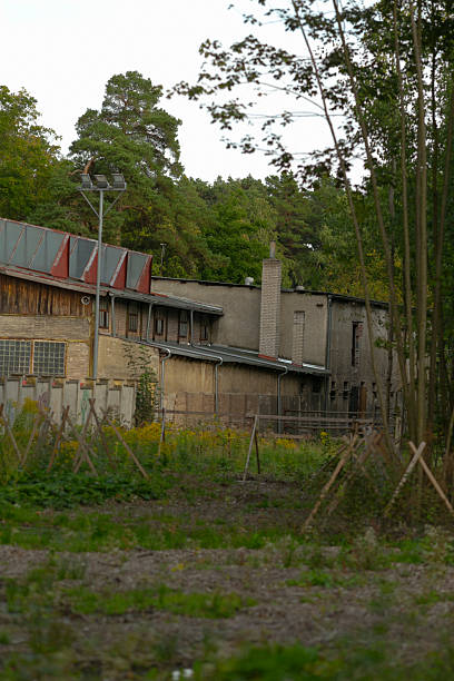 istock Decaying factory at forest boundary with nature reclaiming space 2250619393