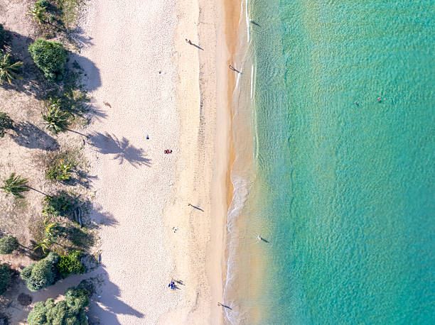istock Aerial top view beach sea waves surface nature background 2250619486
