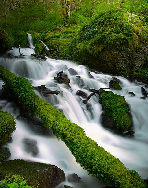 istock Wakeena Falls Columbia River Gorge OR 2250620642