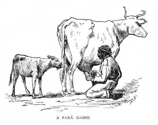 One man  Illustration published 1879. Original edition is from my own archives. Copyright has expired and is in Public Domain.