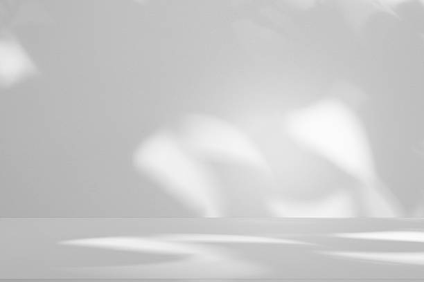 istock Wall interior background, studio and backdrops show products.with shadow from window color white . background for text insertion and presentation product 2250623044