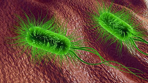 istock 3D illustration of illuminated bacteria, glowing vibrant green 2250634049