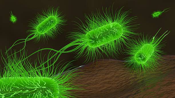 istock 3D illustration of illuminated bacteria, glowing vibrant green 2250634051