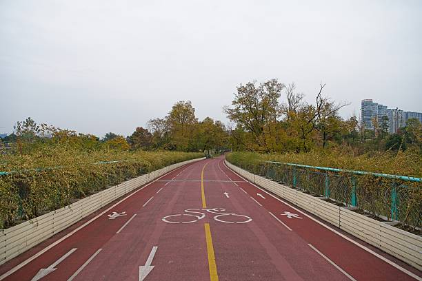 Bike route Geneva Lyon by the Via Rhôna which runs along the Rhone Valley and crosses the departments of Savoie, Ain, Isère and Rhône.