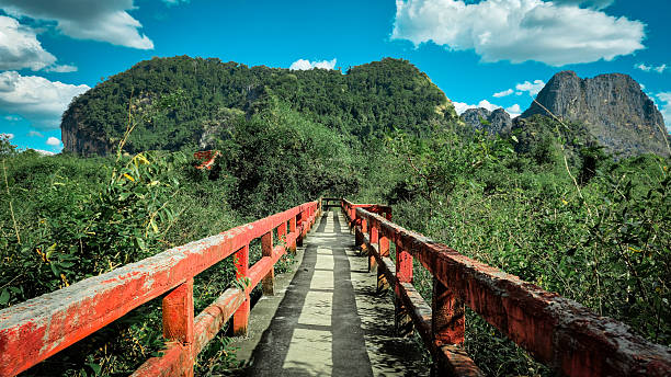 istock Red-Railed Concrete Pathway Through Tropical Forest Hills,  Tham Pa Fa Buddha Cave Pathway, Thakhek Laos 2250638705