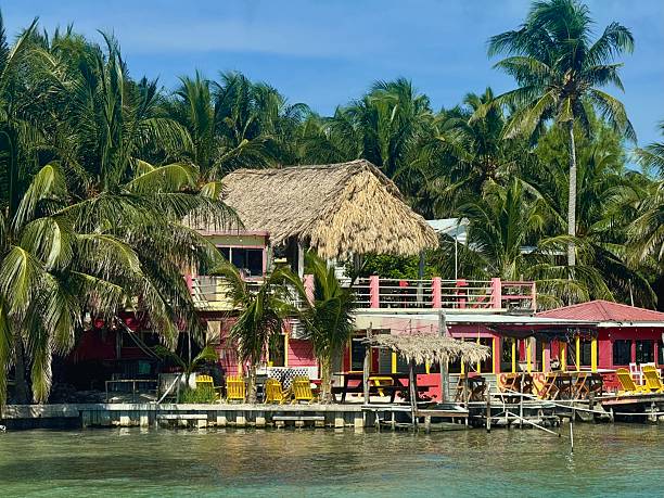 istock tropical Island of  Caye Caulker, Belize 2250640103