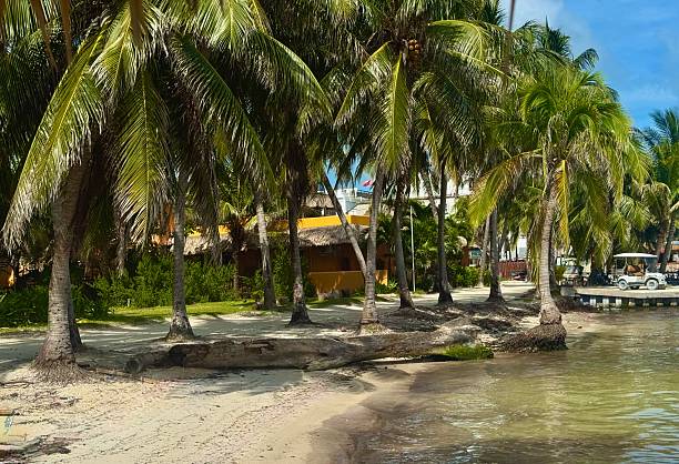 istock tropical Island of  Caye Caulker, Belize 2250640104