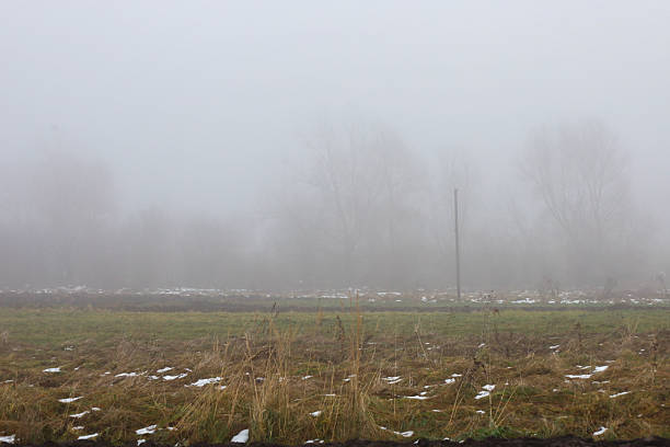 A somber, dense fog envelops an open landscape where a field with withered grass and green patches is dotted with small pieces of snow. Indistinct silhouettes of bare trees and a single pole barely emerge from the gray, opaque haze on the horizon.
