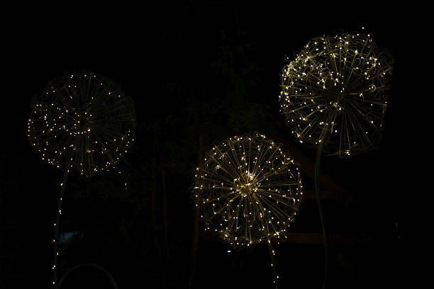 istock An atmospheric night scene featuring three decorative globe-dandelion lights. The warm golden light from the numerous LED bulbs creates a magical, enchanting effect against the dark background. 2250640221
