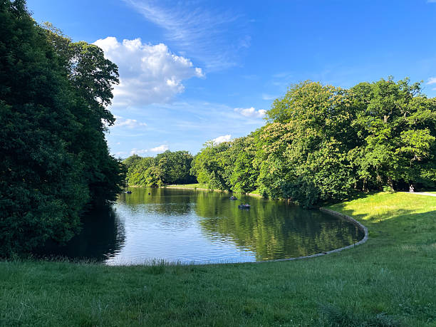 istock Tranquil scene at Cambre Woods (Bosque de la Cambre) in Brussels, Belgium. 2250640628