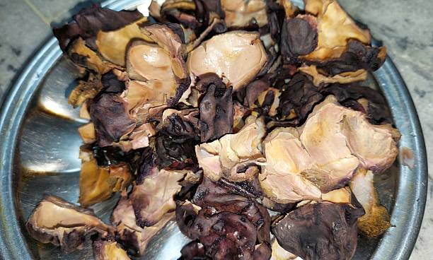 Discarded singhara (Trapa natans) husks are displayed on a metal plate. The husks are brown and black, with a wrinkled texture, showing remnants of the edible portion removed during culinary preparation. These husks are typically discarded after extracting the water chestnut, commonly used in various dishes for its crunchy texture and nutritional benefits. The image illustrates a common post-cooking scenario where the inedible parts remain.