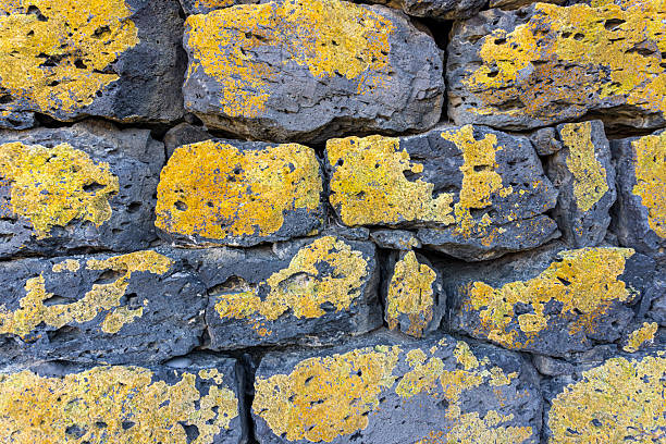 istock A wall made of large, dark grey rectangular stones covered with bright orange and brown lichen 2250647609