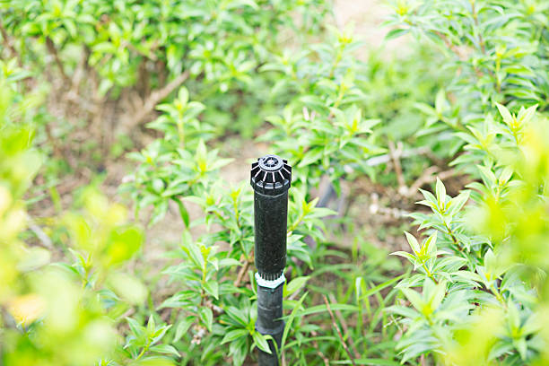 istock The sprinkler installed in the garden has not yet been activated. 2250648319