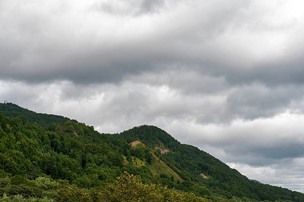 Densely wooded hillside rises against backdrop of heavy overcast clouds, combining rich natural greenery with the moody tones of an unsettled atmosphere. Nature of Sakhalin Island