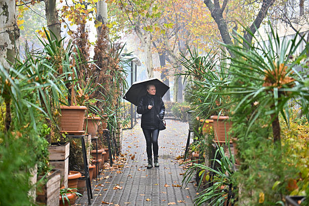 Yerevan Armenia 12.7.2025. A woman is walking down a path in a garden with a black umbrella. The sky is cloudy and it is raining. The woman is wearing a black coat and black boots. The garden is filled with potted plants