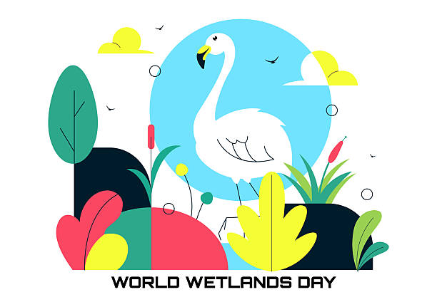 istock World Wetlands Day Vector Illustration on 2 February Featuring Stork Animals and Garden Background In Holiday Celebration Flat Cartoon Design 2250655086