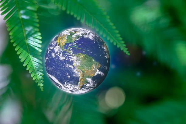 Planet Earth surrounded by green foliage for nature conservation, sustainability, elements of this image furnished by NASA, https://science.nasa.gov/earth/earth-observatory/earth-the-blue-marble-565/
