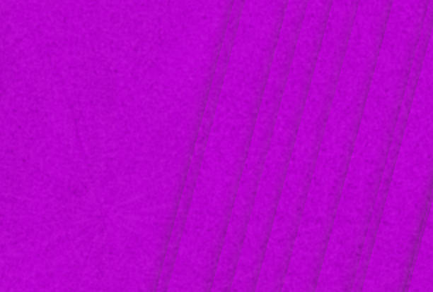 Abstract purple soft texture background featuring smooth lines shapes and a luxurious grainy surface for standout banners, posters, advertisements, covers, web pages, and wallpaper.