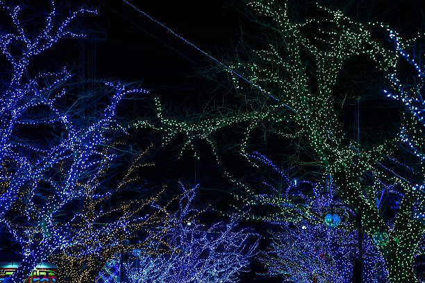 istock Tokyo Winter Illuminations 2024 2250668447