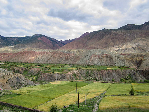 istock Scenic mountainous area with green fields under a cloudy sky 2250668996