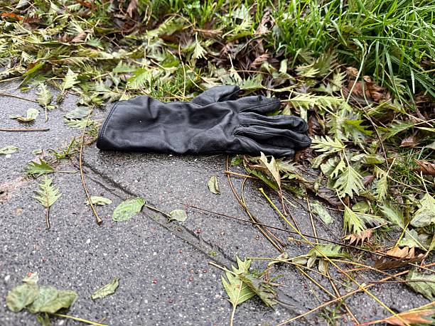 Finding a lost Glove in the rainy City.