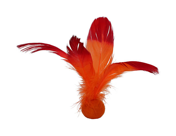 istock Birds Feather On Isolated White Background Free Selection For Including Clipping Path, Dust Scratches Clean 2250674821