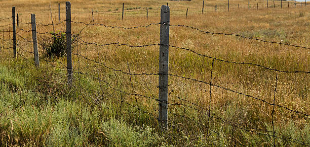 istock Barbed Wire Fence Posts in Open Meadow During Sunny Day 2250676486