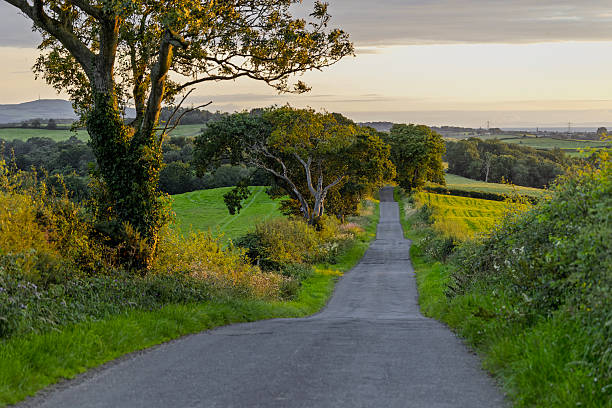 istock Country lane through rolling green fields at sunset in rural landscape 2250678499