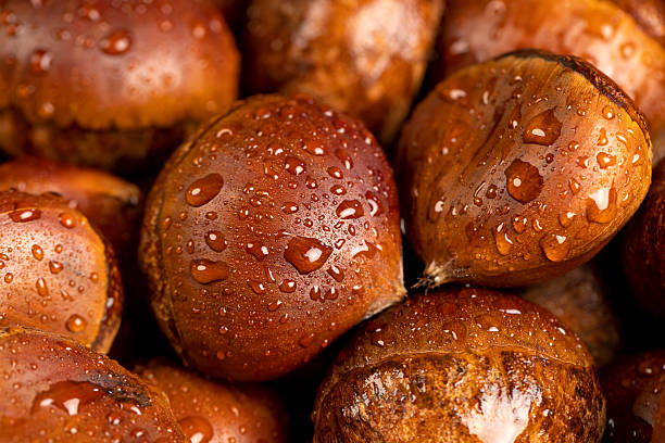 a hard, edible chestnut fruit in a brown shell covered with water droplets on a wooden table, a group of wet, chestnut fruits with a brown hard shell