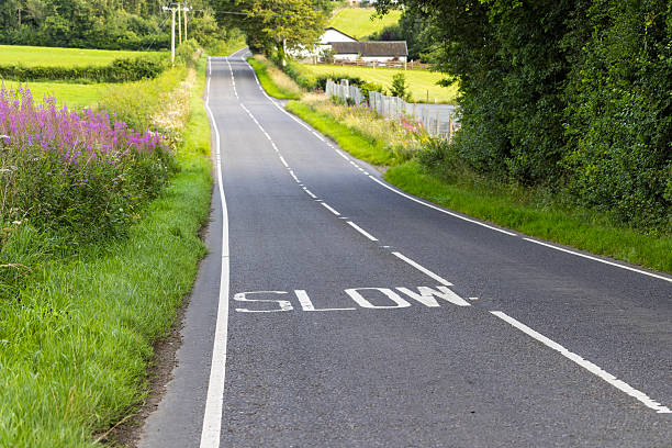 istock Rural road with SLOW warning marking painted on the asphalt surface 2250679793